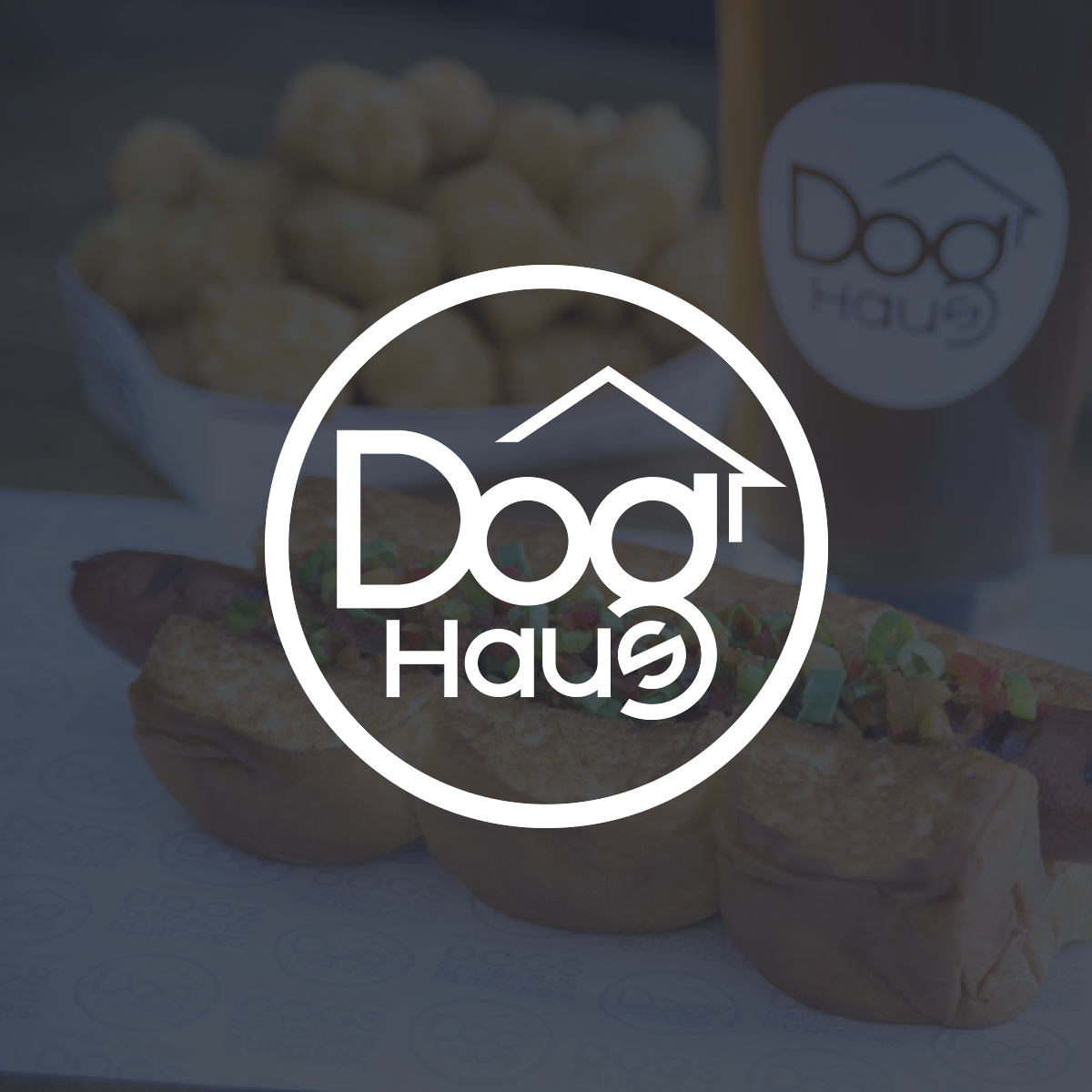 Client Spotlight: Erica Davis and Dog Haus